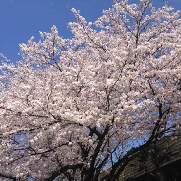 pic20140402175118_1.jpg