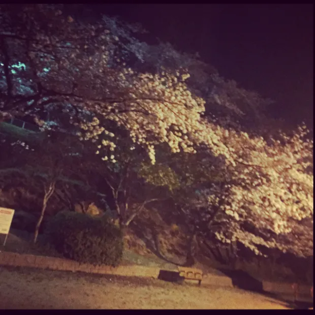 pic20150406132840_1.jpg
