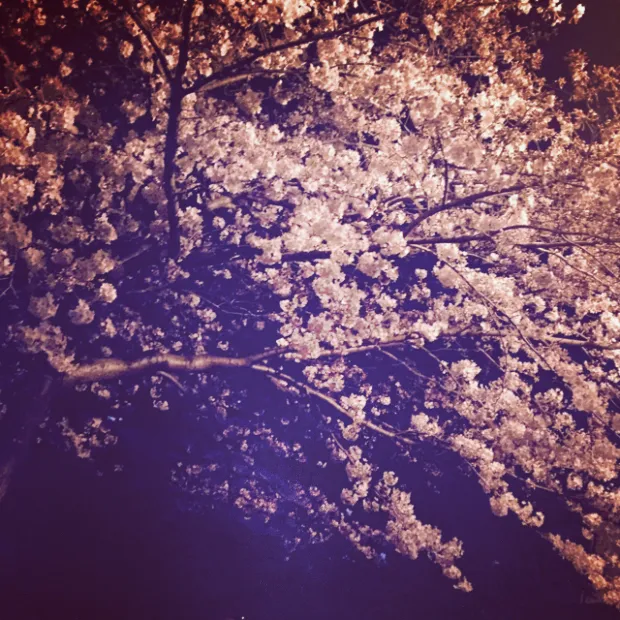 pic20150406132840_2.jpg