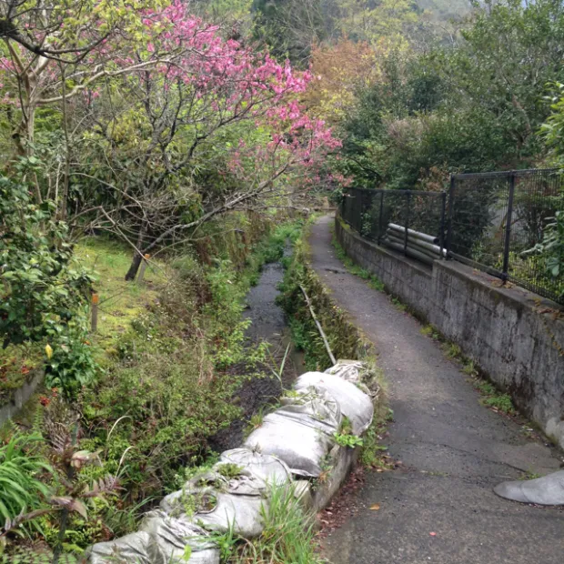pic20150423233638_2.jpg