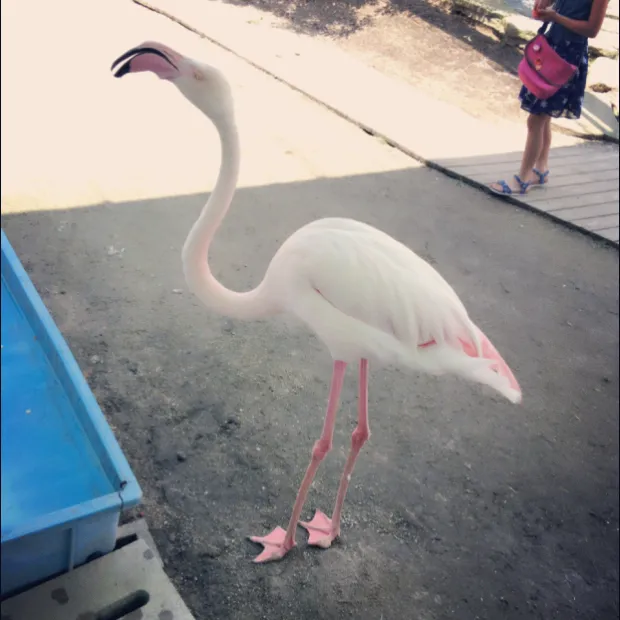pic20160704083100_1.jpg