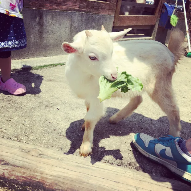 pic20160704083100_2.jpg