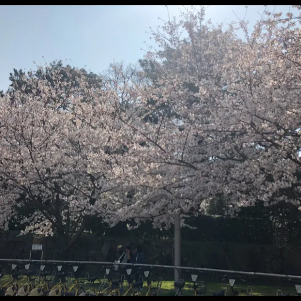 pic20180328233730_1.jpg