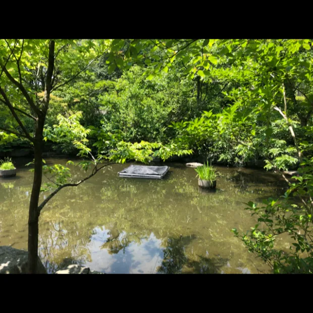 pic20180706225011_1.jpg