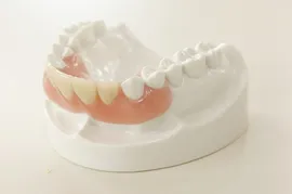 保険